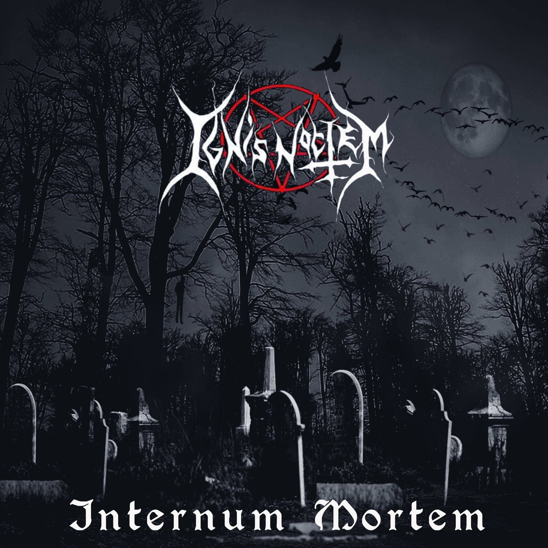 Album cover of Internum Mortem
