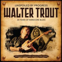 Cover of Unspoiled by Progress: 20 Years Of Hardcore Blues