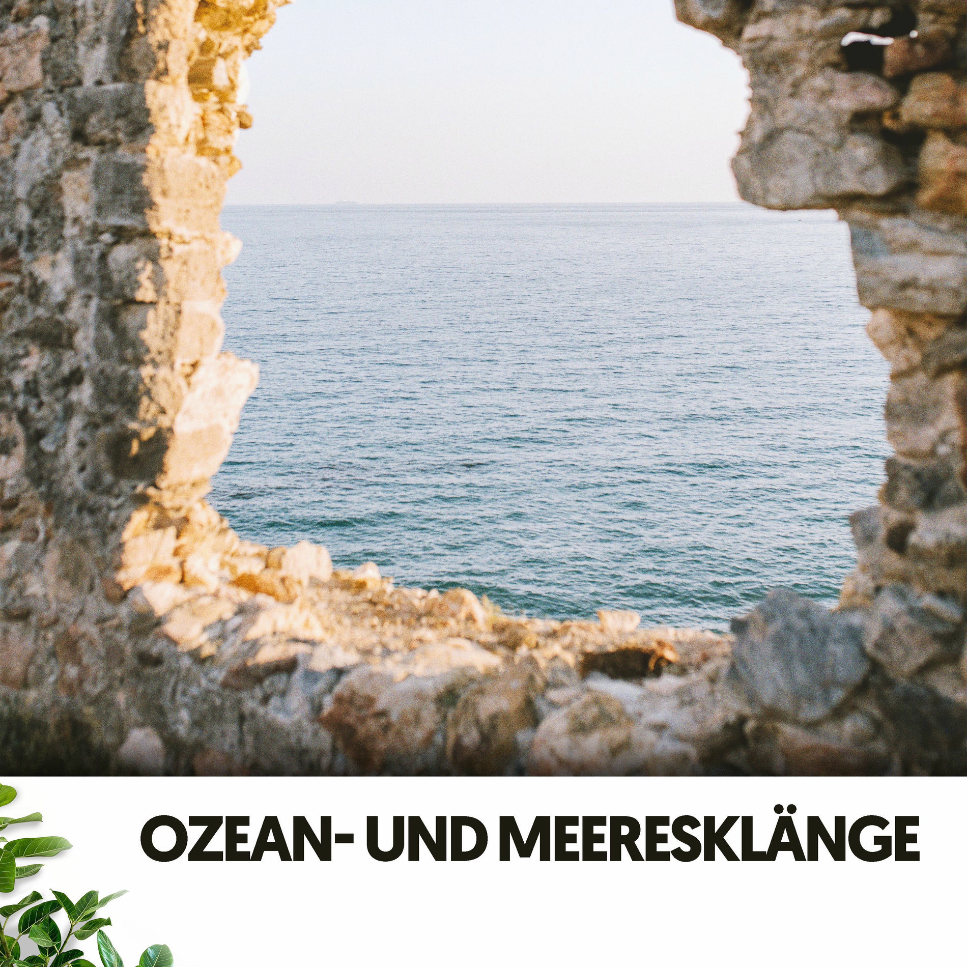 Album cover of Ozean- und Meeresklänge: Entspannende Rhythmen der Meeresküste