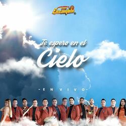 Cover of Te espero en el cielo