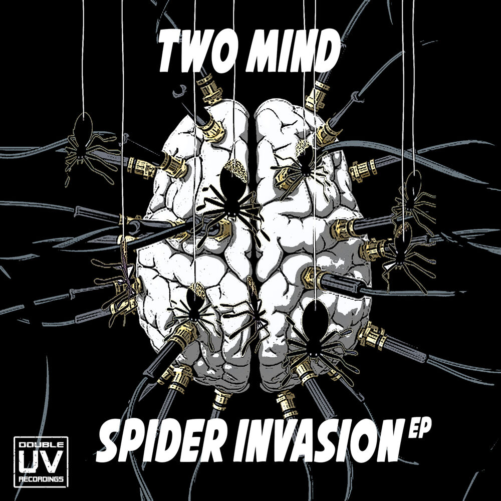Picture of Spider Invasion