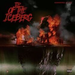 Cover of Tip Of The ICEberg