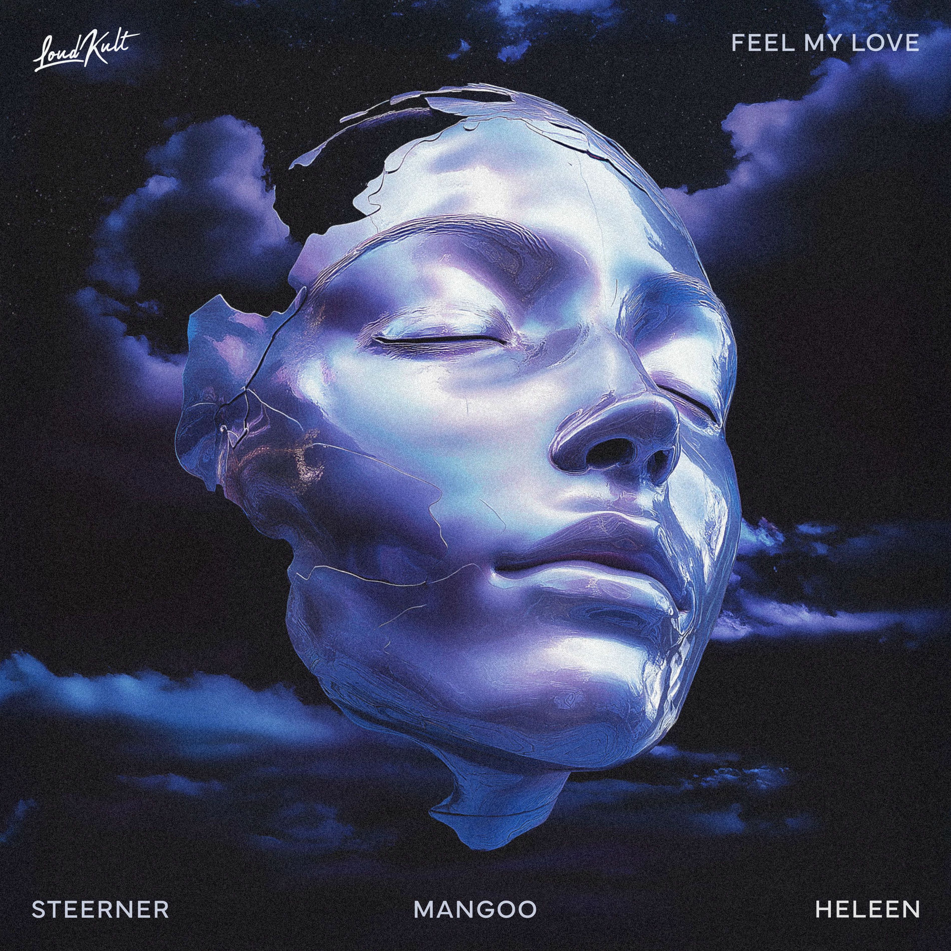 Album cover of Feel My Love