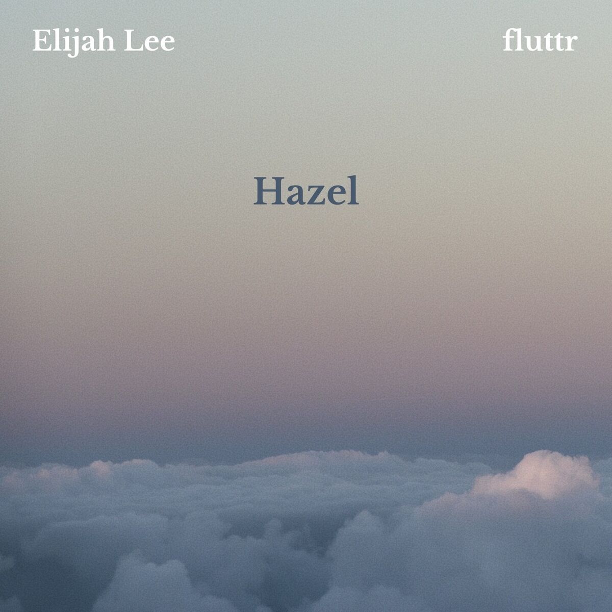 Album cover of Hazel