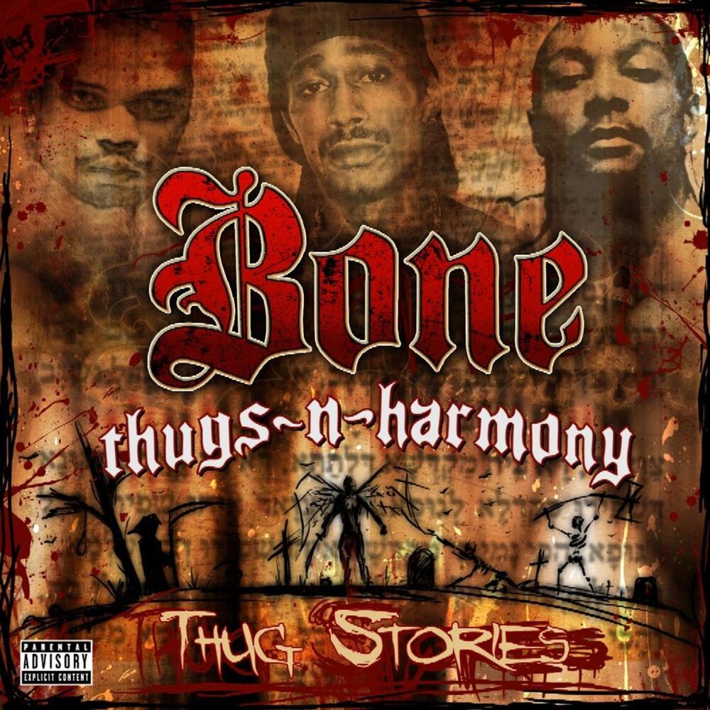Picture of Thug Stories