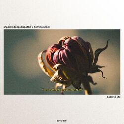 music cover