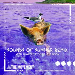 Cover of Sounds of Summer (Remix)