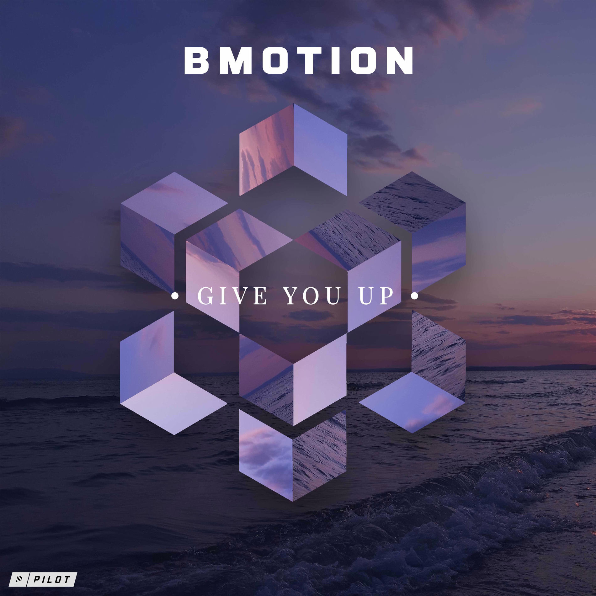 Album cover of Give You Up
