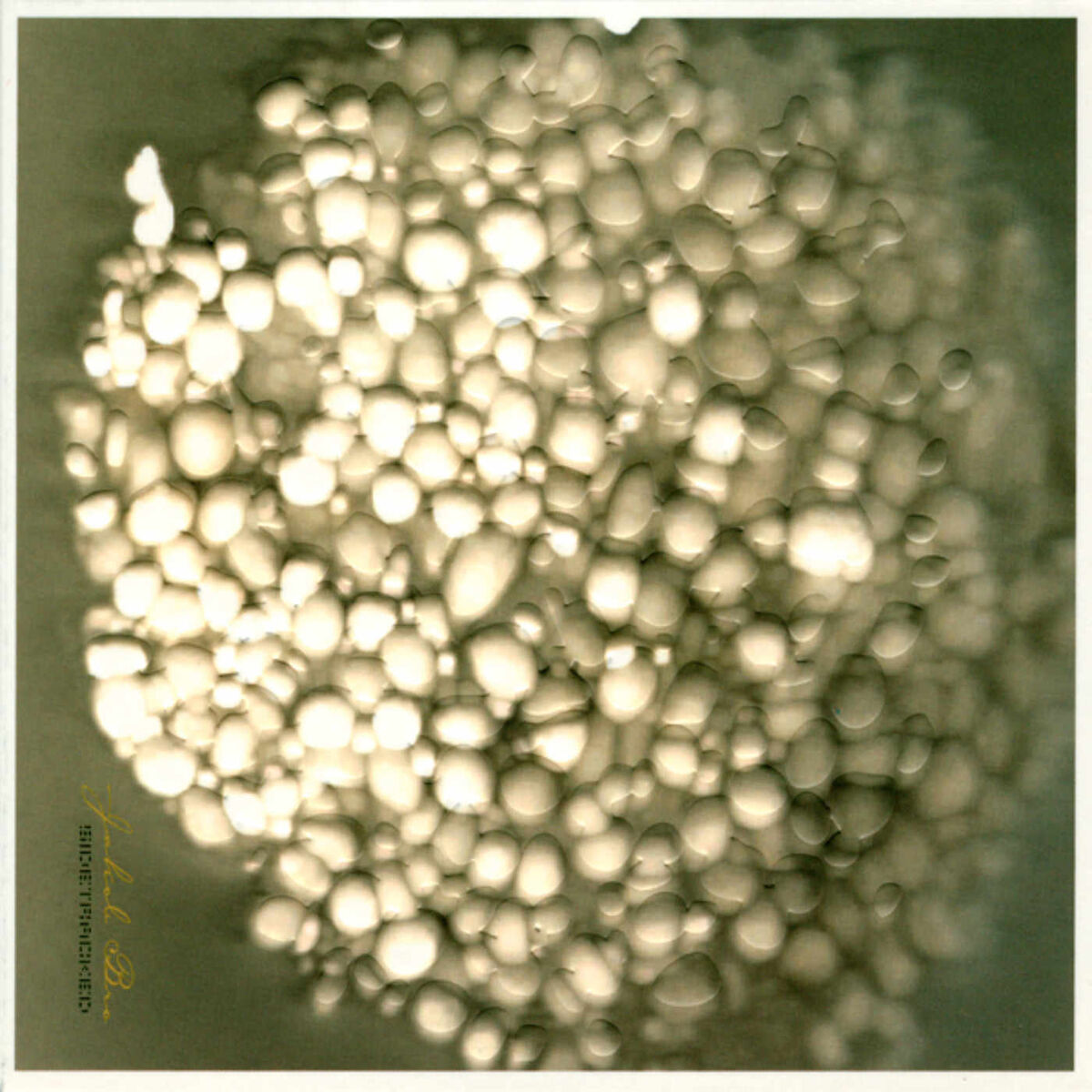 Album cover of Sidetracked