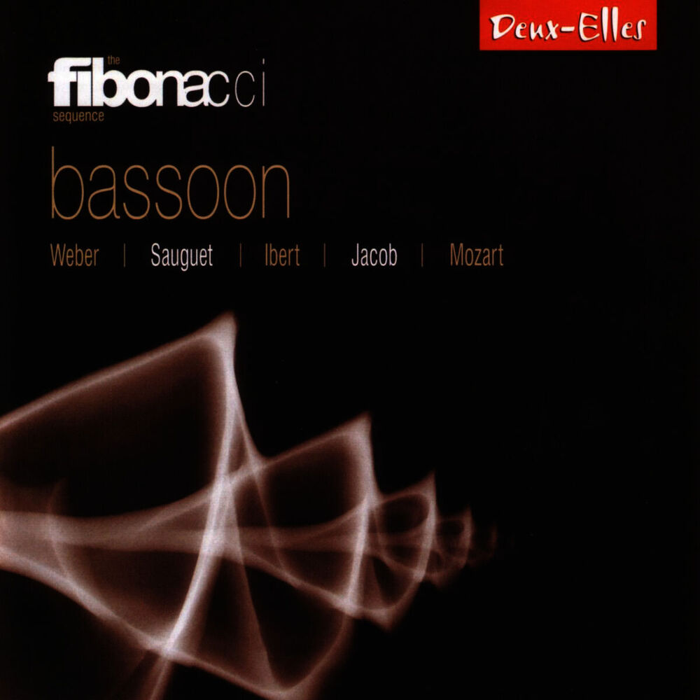 Picture of Bassoon