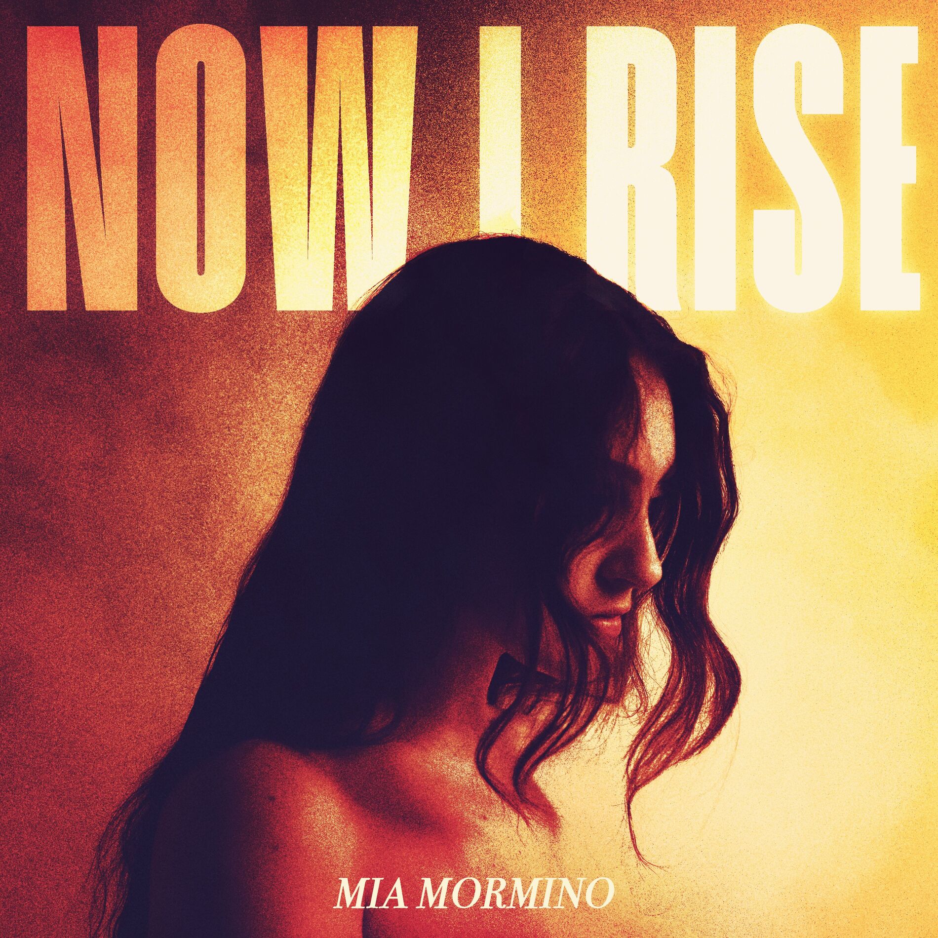 Album cover of Now I Rise