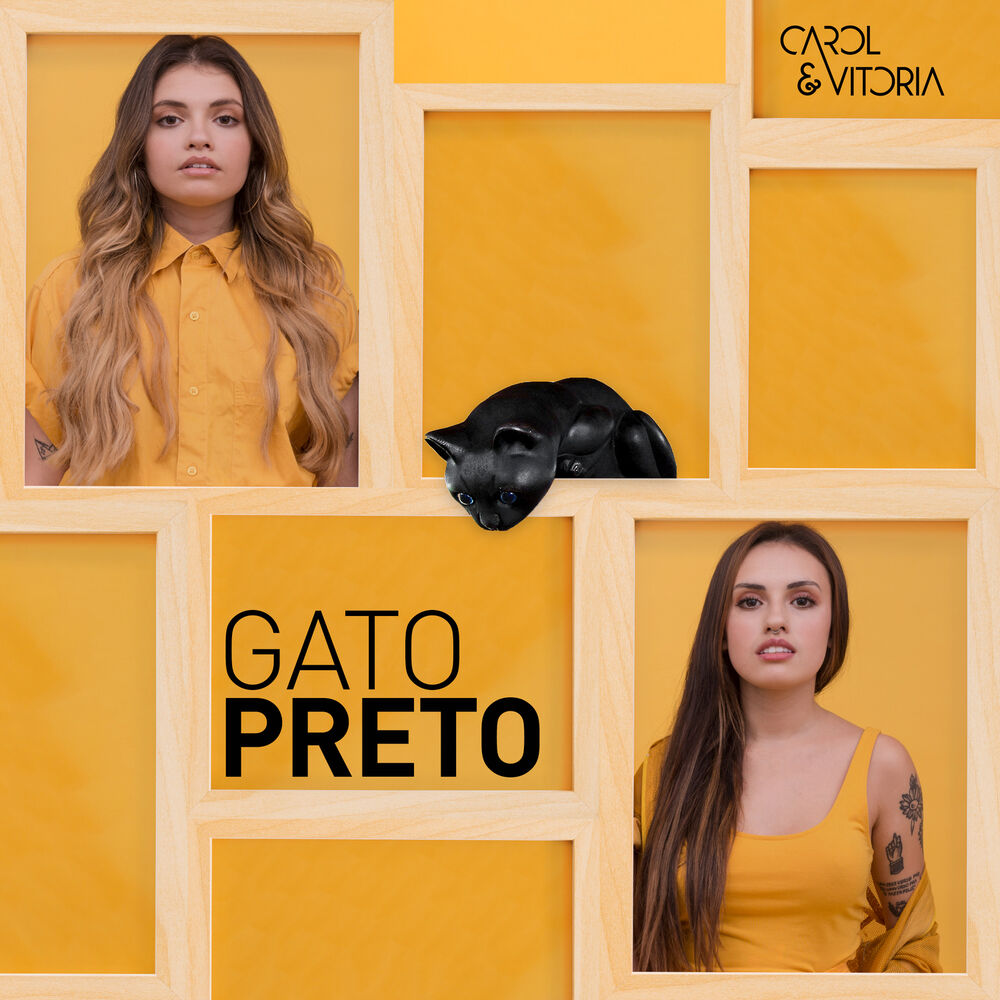 Picture of Gato Preto