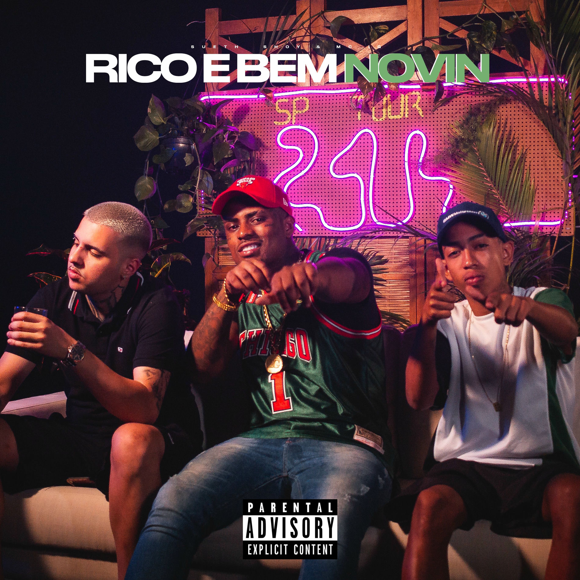 Album cover of Rico E Bem Novin