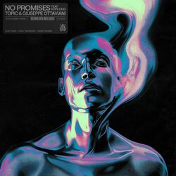 Cover of No Promises
