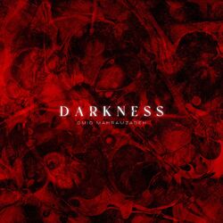 Cover of Darkness