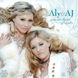 Cover of Acoustic Hearts Of Winter