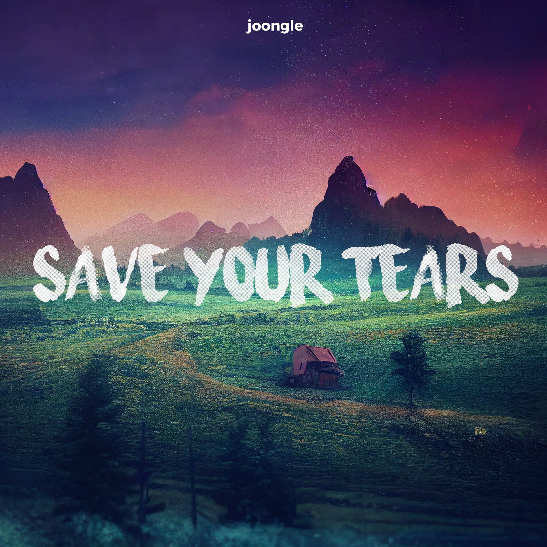 Album cover of Save Your Tears
