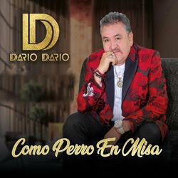 Cover of Como Perro en Misa