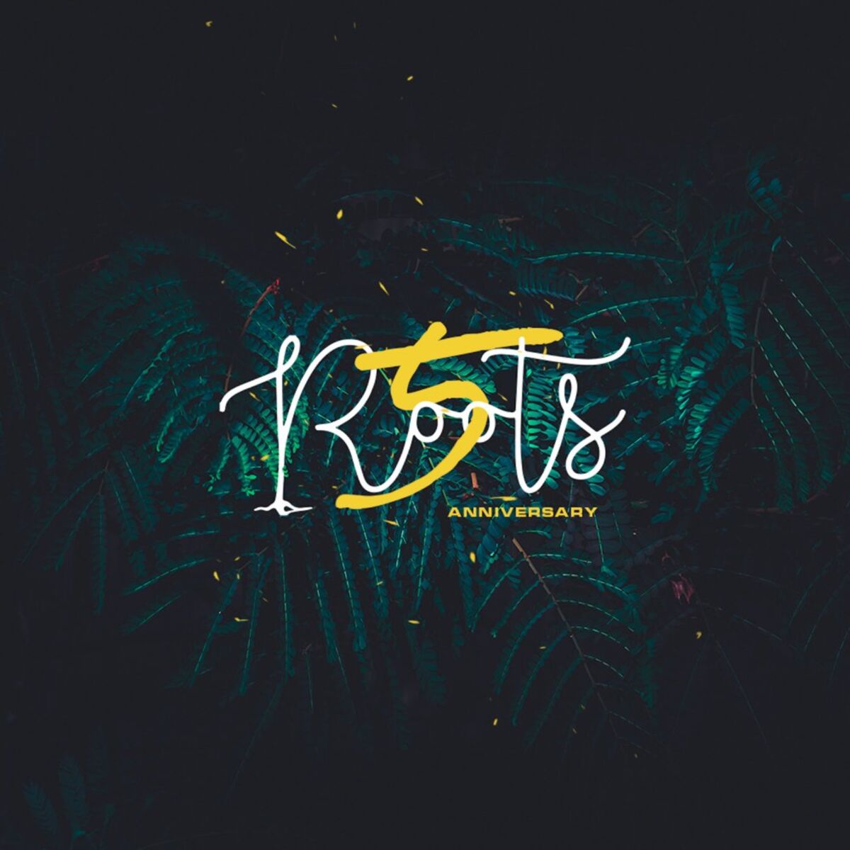 Album cover of Roots 5 Years Va
