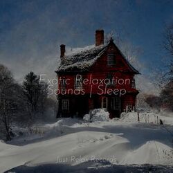 Cover of Exotic Relaxation Sounds | Sleep