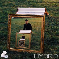 Cover of Hybrid