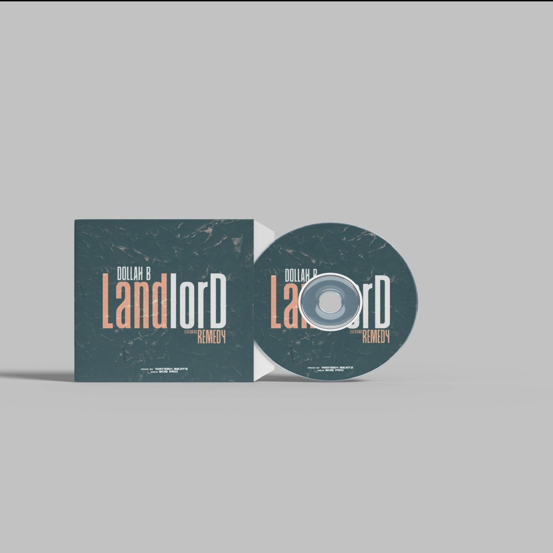 Album cover of Landlord (feat. Remedy)