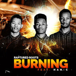 Cover of Burning