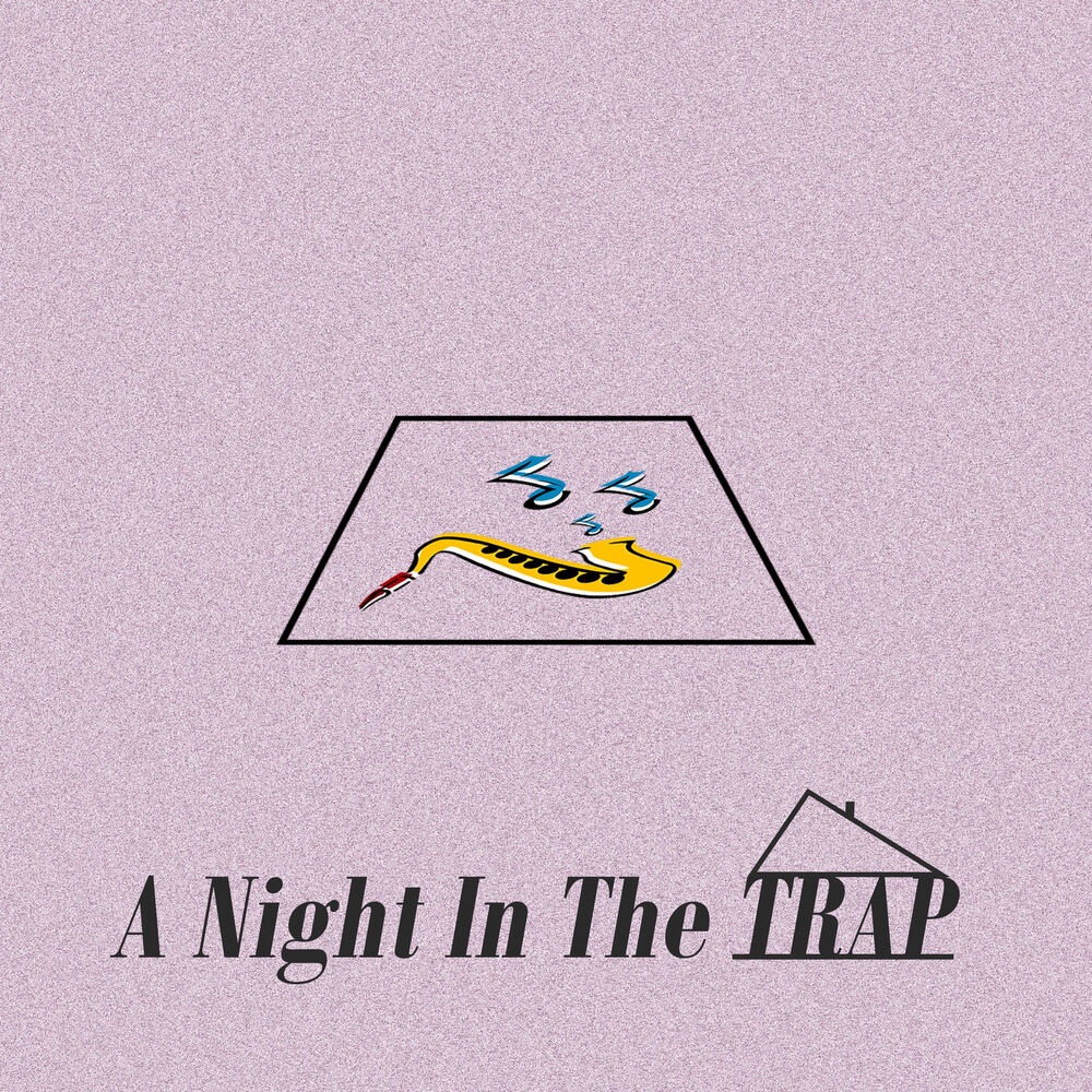 Picture of A Night in the Trap