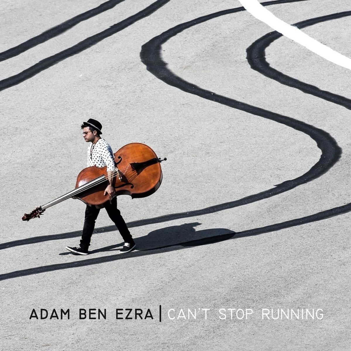 Album cover of The Busker