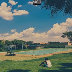 Cover of Last Summer