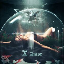 Cover of X Amor