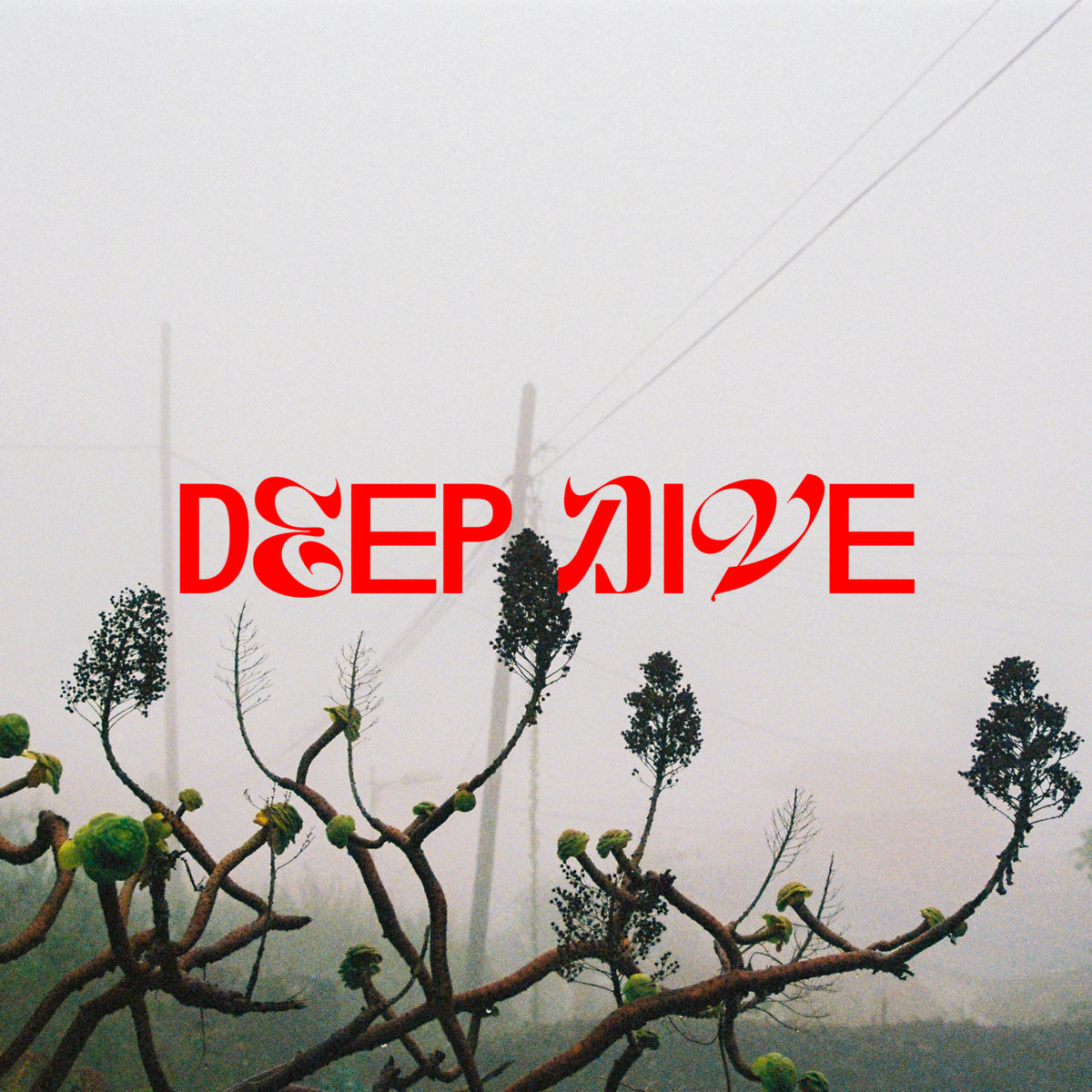 Album cover of Deep Dive