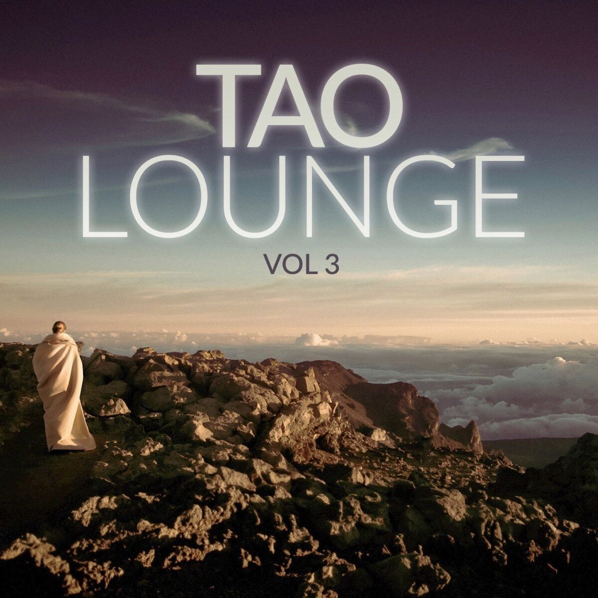 Album cover of Vol. 3