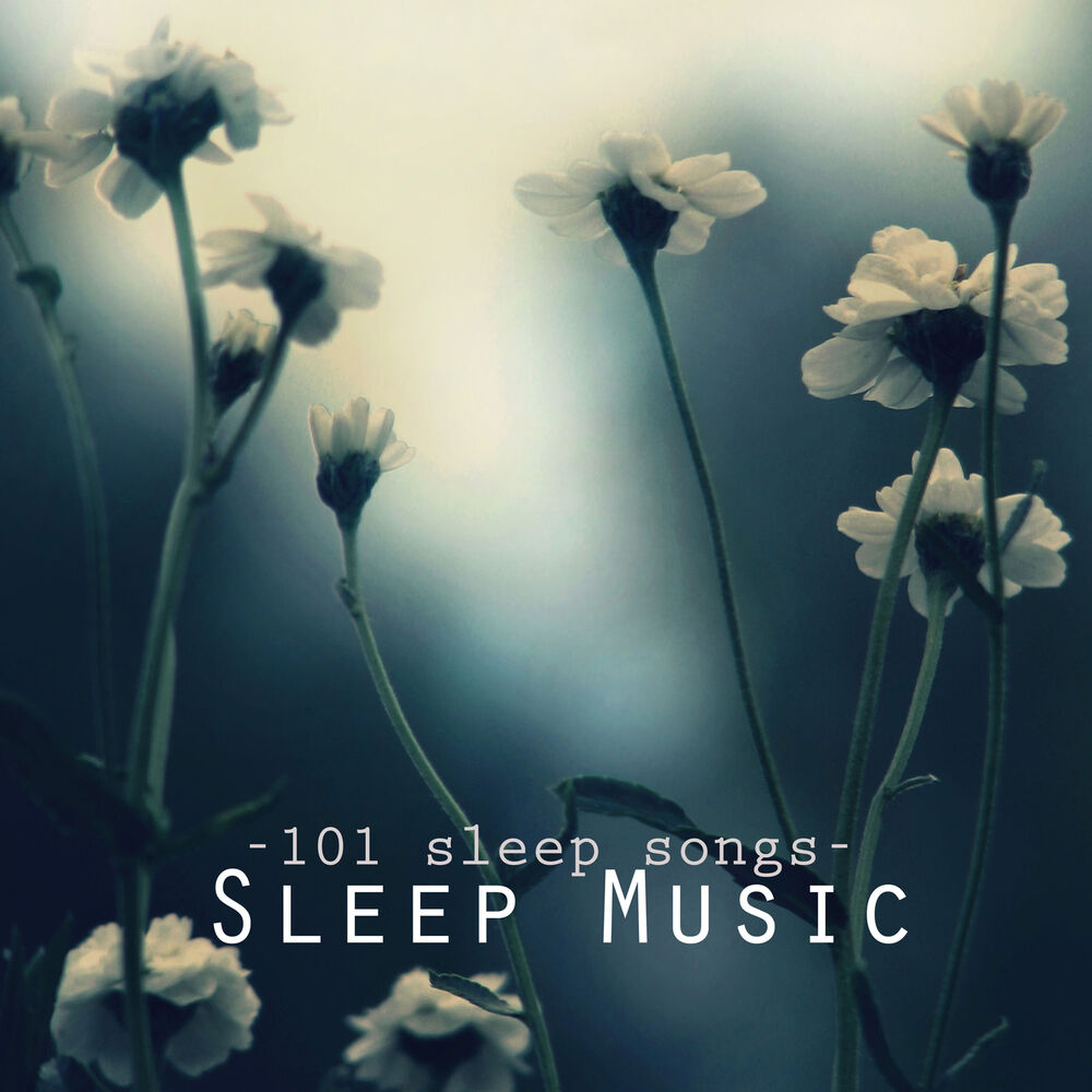Picture of Deep Sleep Music - 101 Sleep Songs for Sleeping, Sounds of Nature to Relax & Falling Asleep at Night