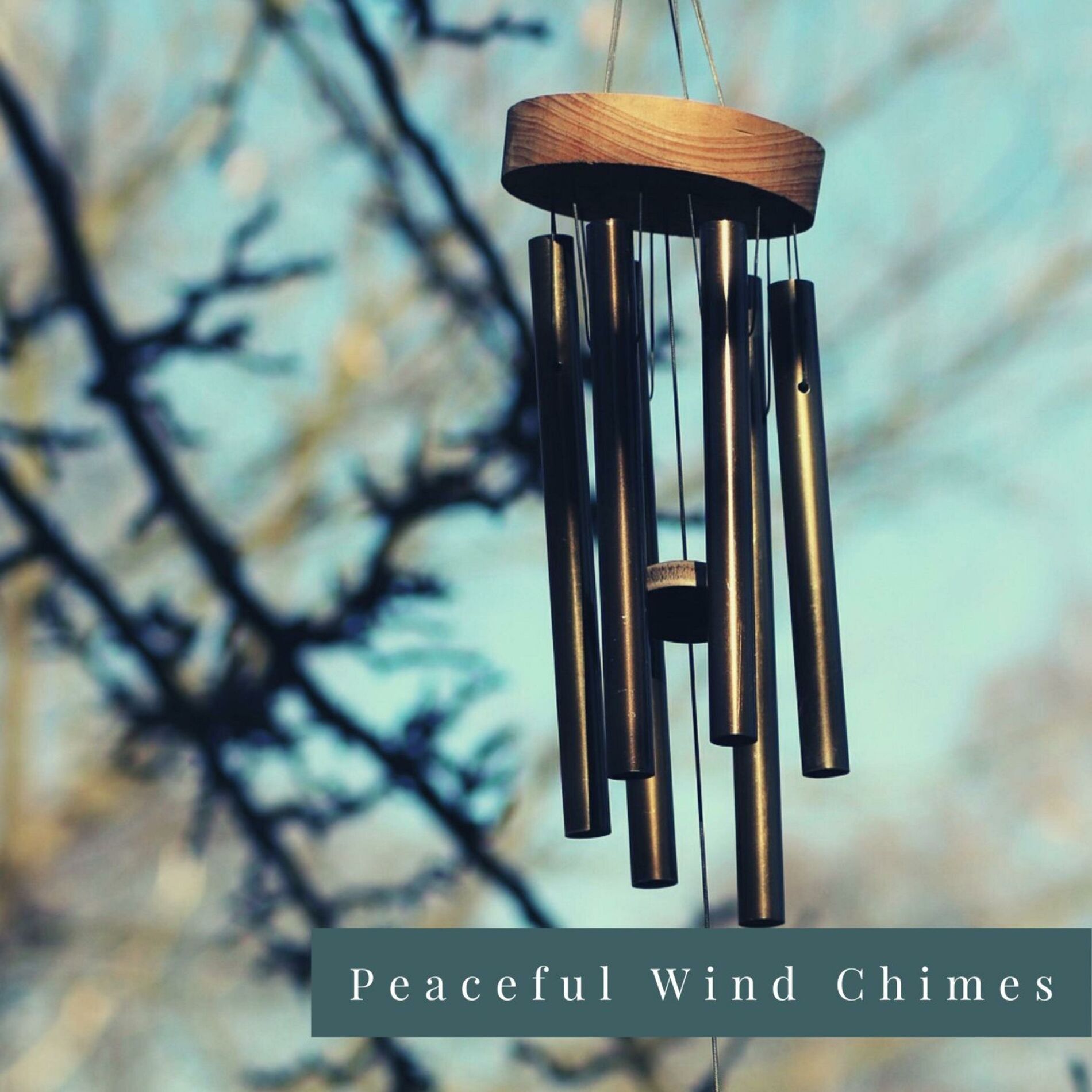 Album cover of Peaceful Wind Chimes