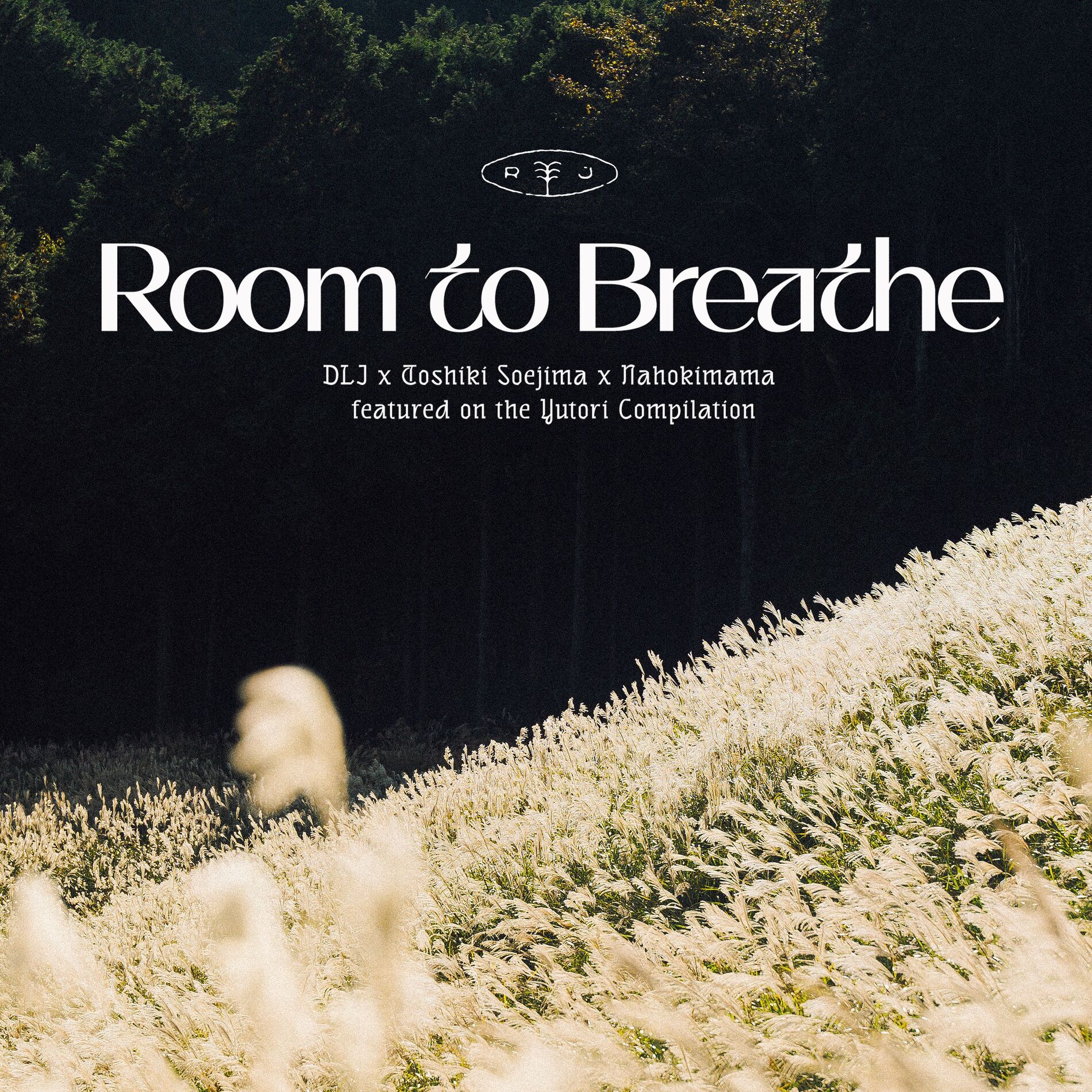 Album cover of Room to Breathe