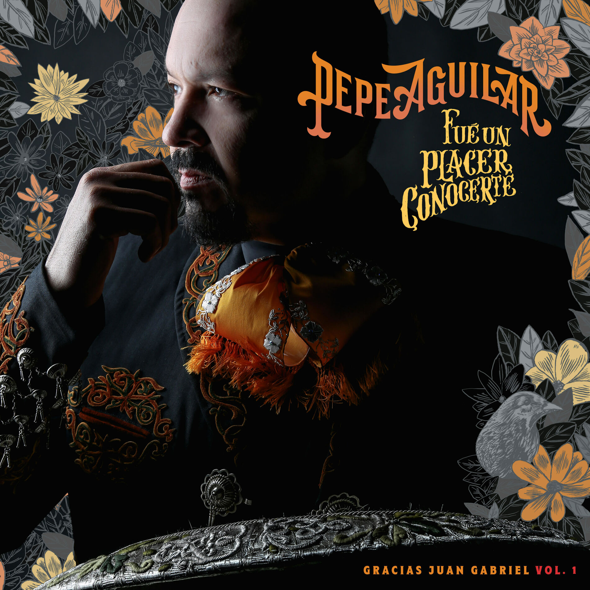 Album cover of No Vale la Pena