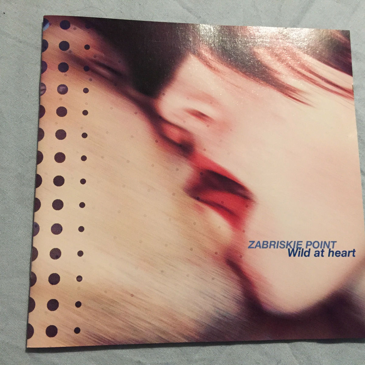Album cover of Wild at Heart