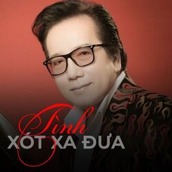 Cover of Tình xót xa đưa