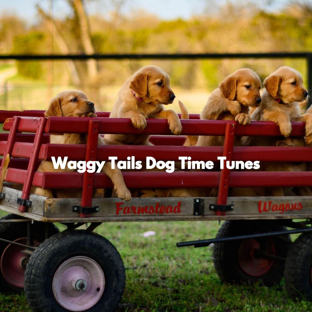 Picture of Waggy Tails Dog Time Tunes