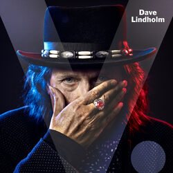 Cover of V.