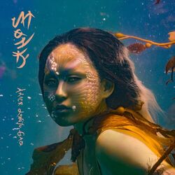 Cover of MONK