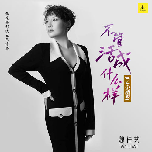 不管活成什么样 (DJ小刚版)
