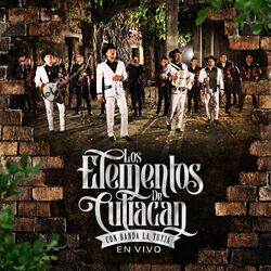 Cover of Con Banda La Tuyia (En Vivo)