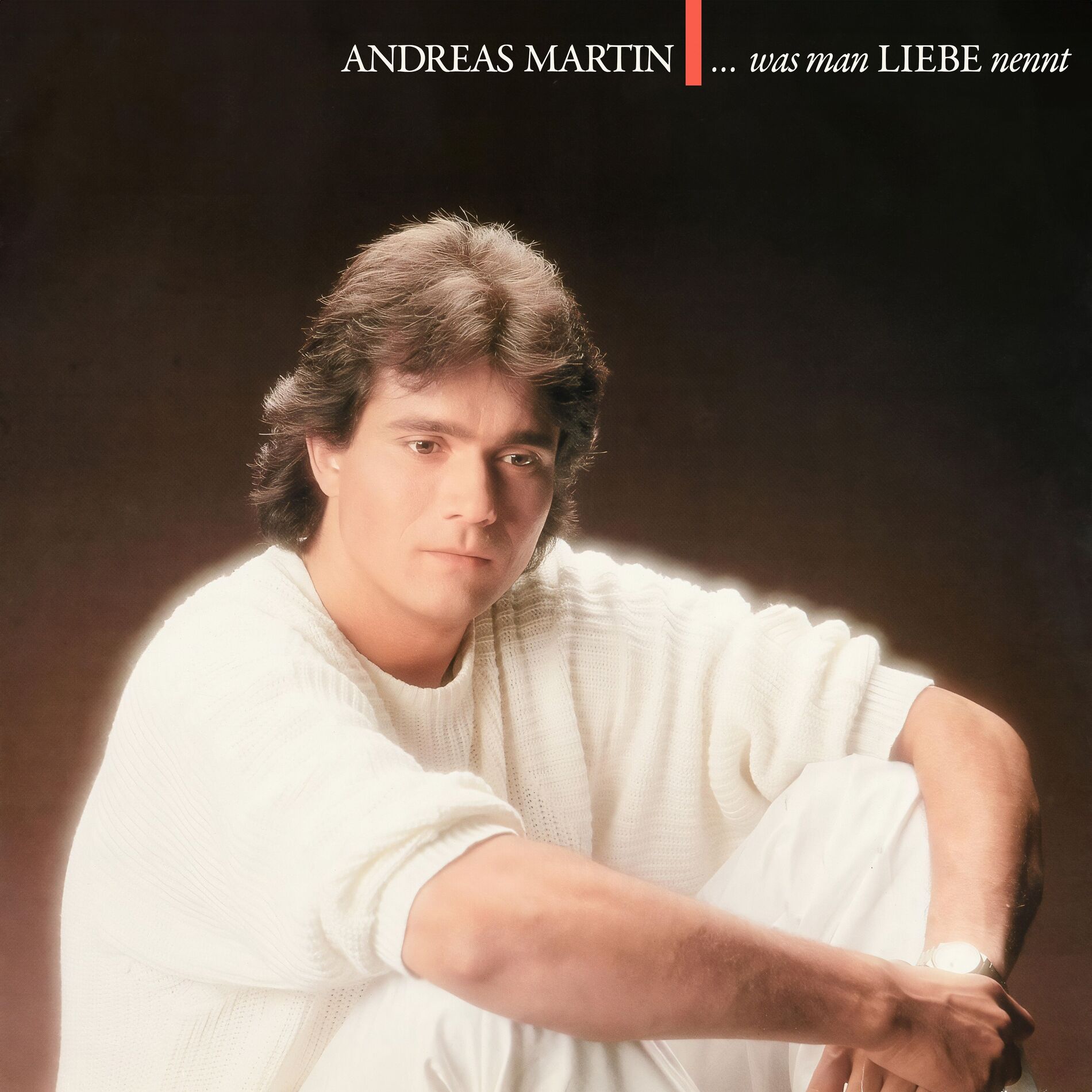Album cover of ... Was man Liebe nennt