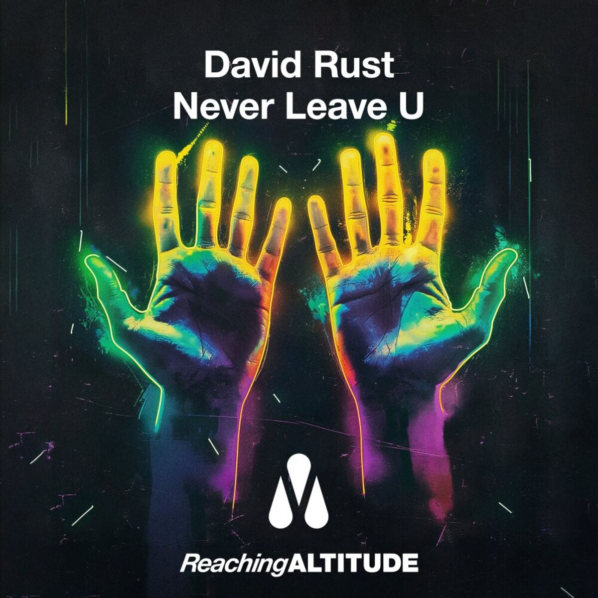 Album cover of Never Leave U