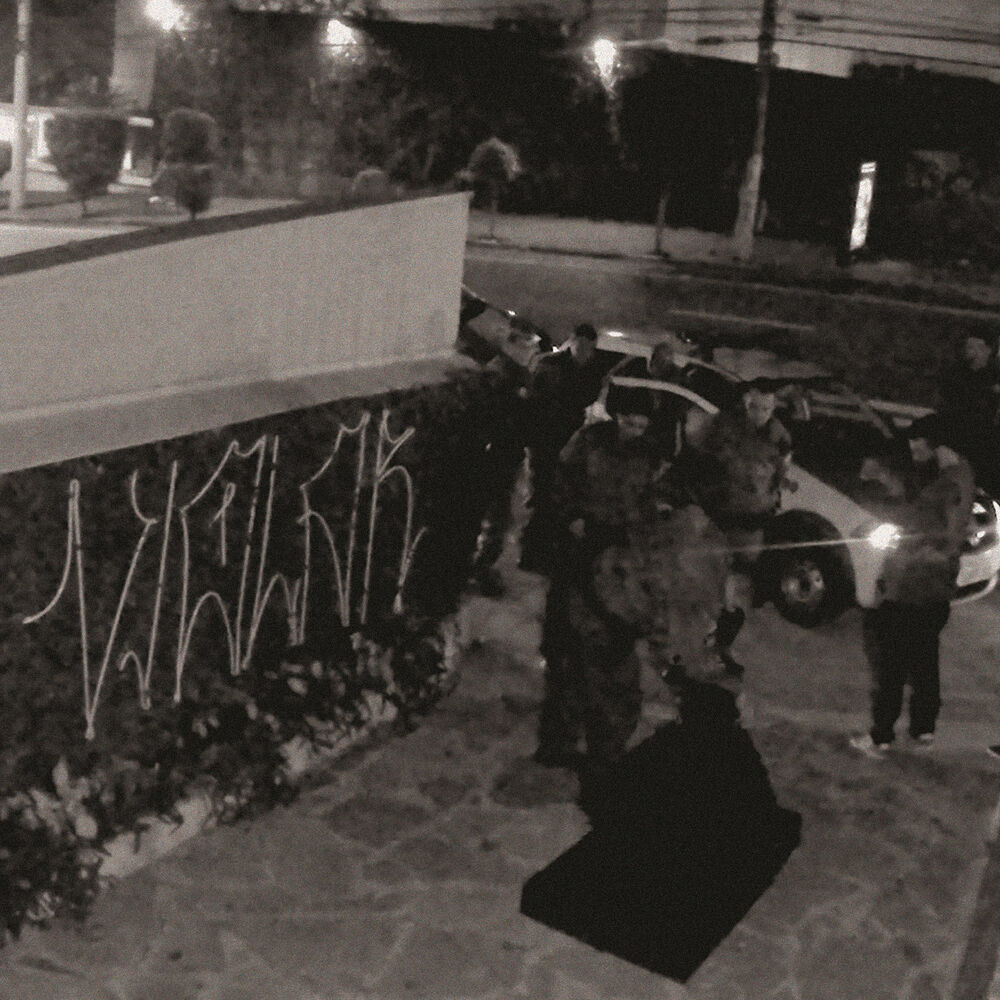 Picture of Violar