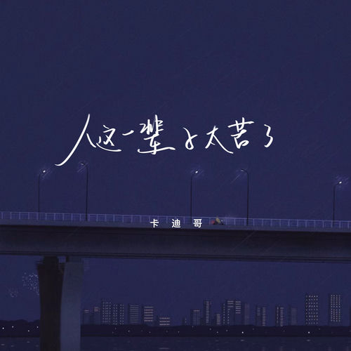 人这一辈子太苦了