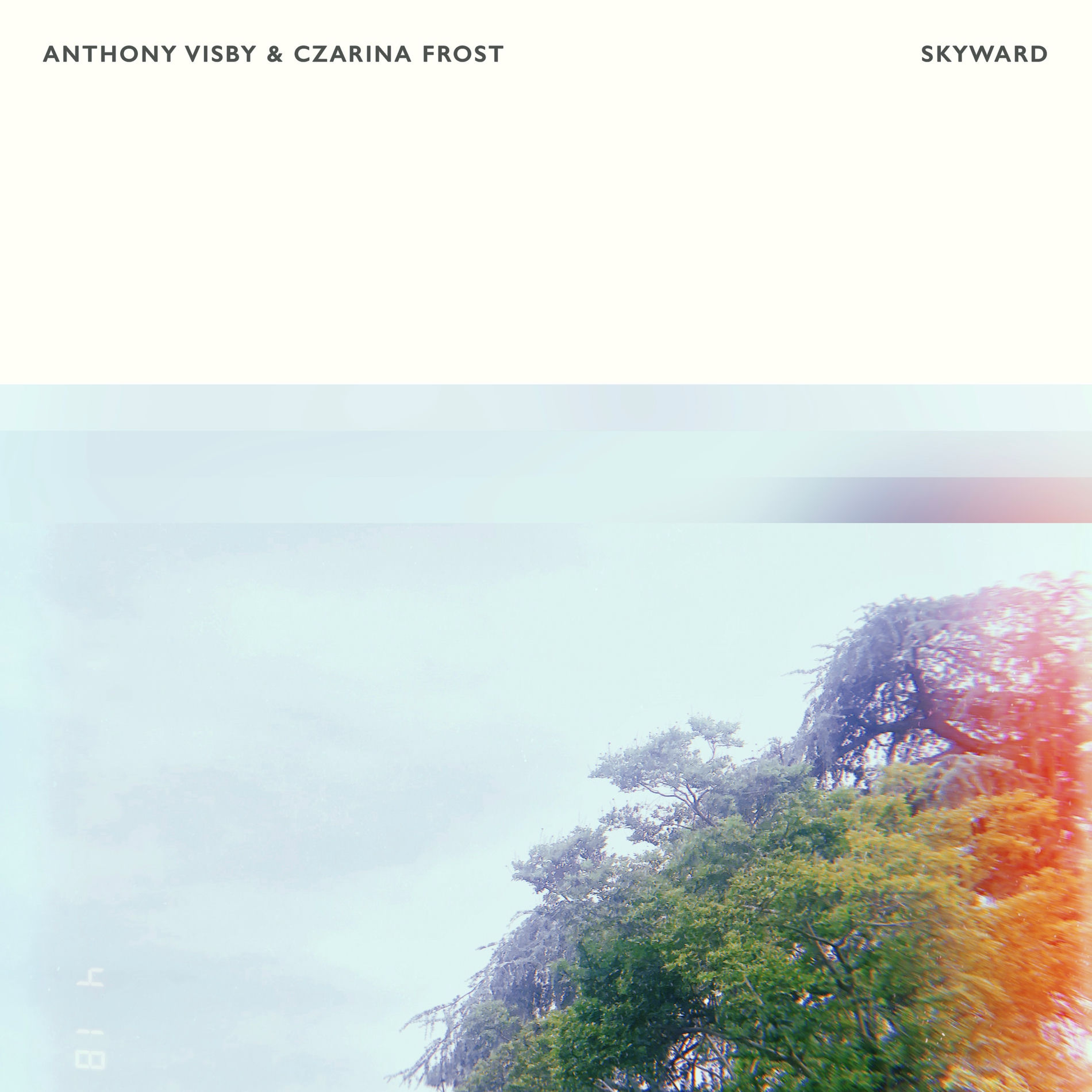 Album cover of Okiwi Bay