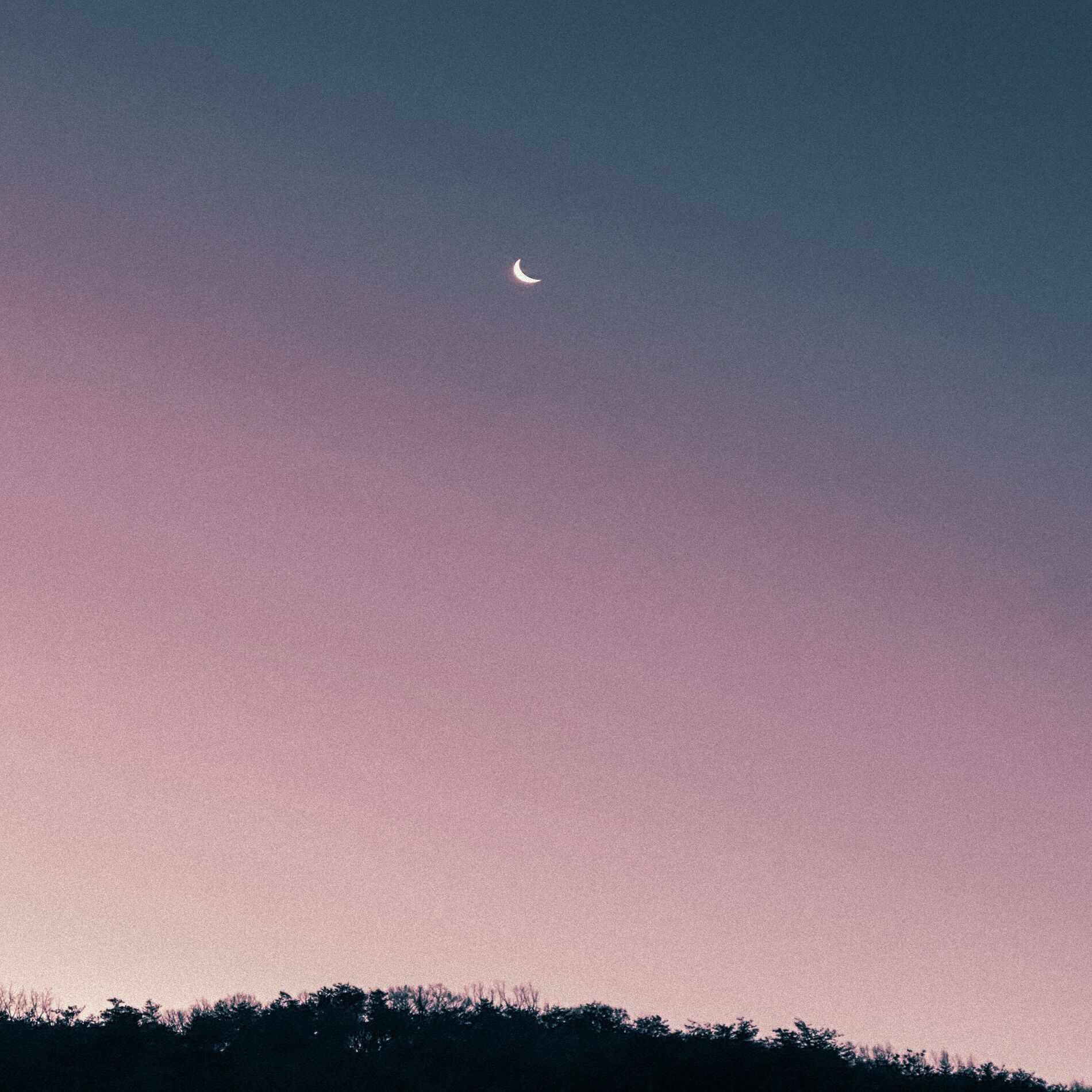 Album cover of to the moon and back